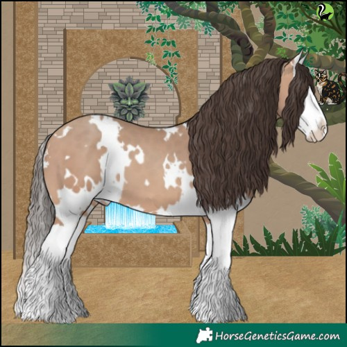 Horse Color:White Spotted Amber Champagne Splash 