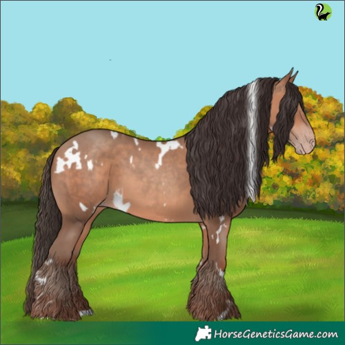 Horse Color:White Spotted Amber Champagne