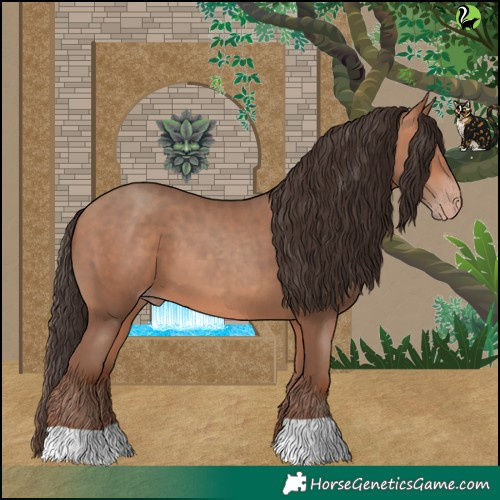 Horse Color:Amber Champagne 