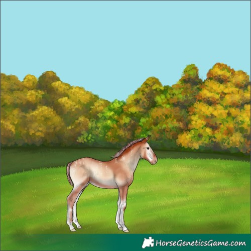 Horse Color:Powder White Painted Silver Classic Champagne Onyx 