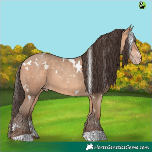 Horse Color:White Spotted Amber Champagne