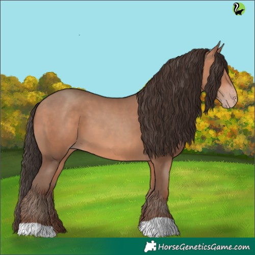 Horse Color:Amber Champagne 