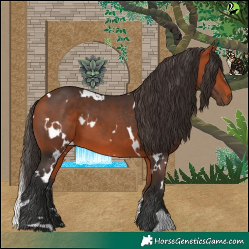 Horse Color:White Spotted Bay 