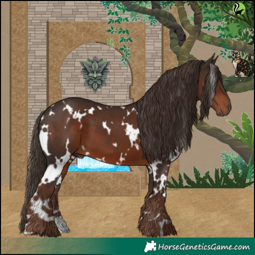 Horse Color:White Spotted Liver Chestnut 
