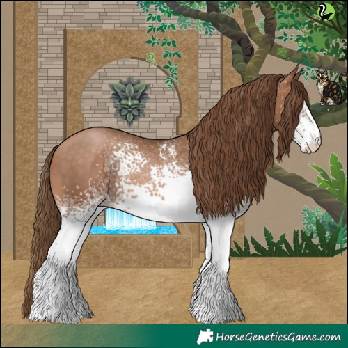 Horse Color:White Spotted Bay Pearl 