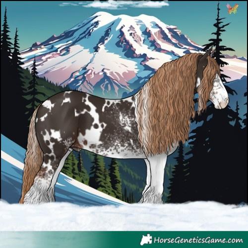 Horse Color:White Spotted Liver Chestnut 
