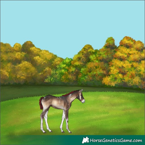 Horse Color:Powder White Painted Liver Red Onyx 
