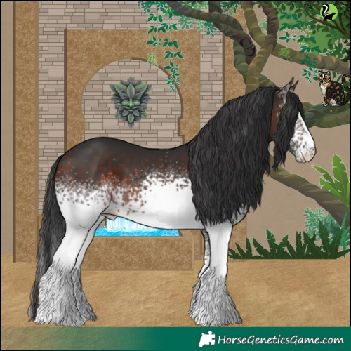 Horse Color:White Spotted Bay 