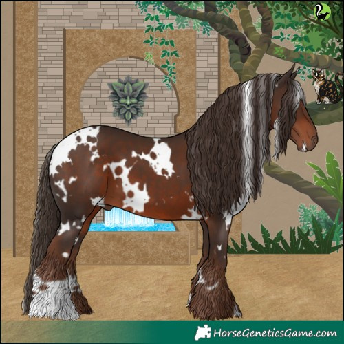 Horse Color:White Spotted Liver Chestnut 