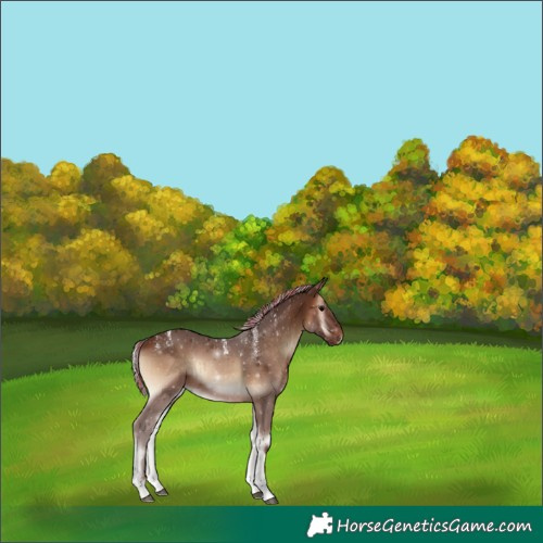 Horse Color:Powder White Painted Silver Brown Onyx 