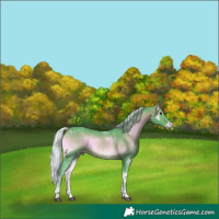 Horse Color:Powder White Watercolor Silver Brown Onyx 