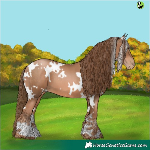 Horse Color:White Spotted Liver Chestnut Pearl 