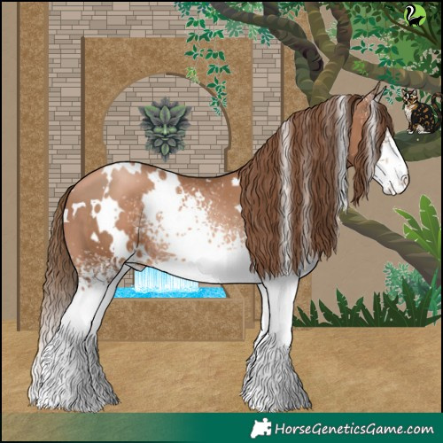 Horse Color:White Spotted Liver Chestnut Pearl 