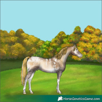 Horse Color:Powder White Gray Painted Silver Smoky Blue Onyx Pearl Tobiano 