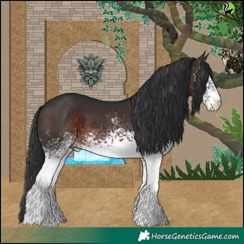 Horse Color:White Spotted Brown 