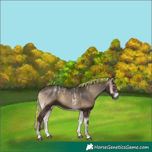 Horse Color:Powder White Gray Painted Silver Blue Onyx 