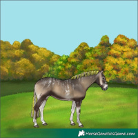 Horse Color:Powder White Gray Painted Silver Blue Onyx 