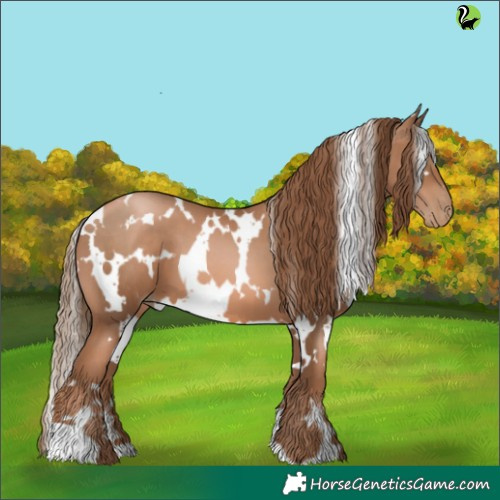 Horse Color:White Spotted Liver Chestnut Pearl