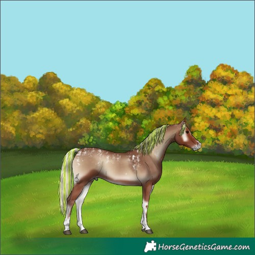 Horse Color:Powder White Painted Silver Blue Onyx 