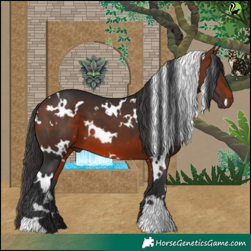 Horse Color:White Spotted Bay 