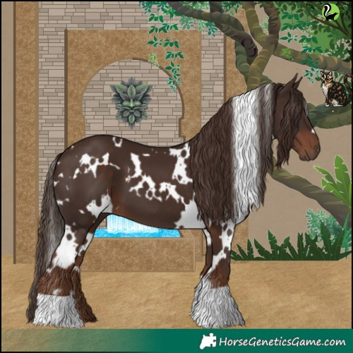 Horse Color:White Spotted Liver Chestnut 