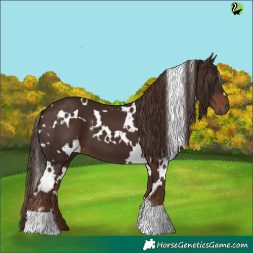 Horse Color:White Spotted Liver Chestnut 