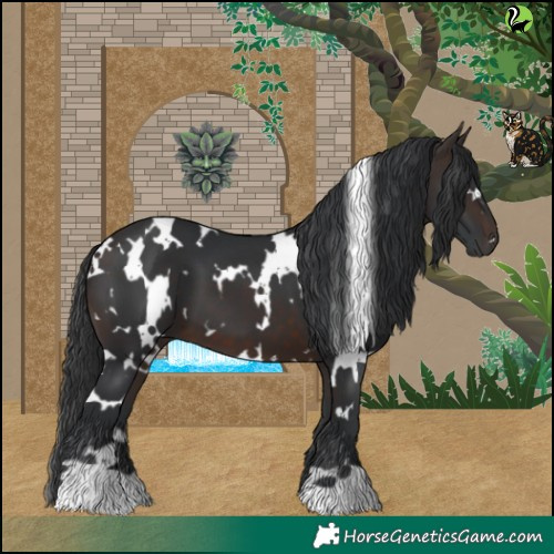 Horse Color:White Spotted Brown 