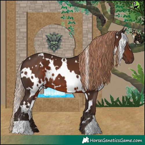 Horse Color:White Spotted Liver Chestnut 