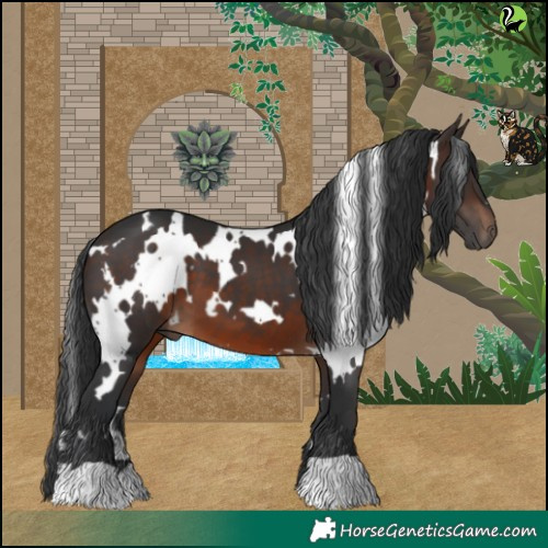 Horse Color:White Spotted Brown 