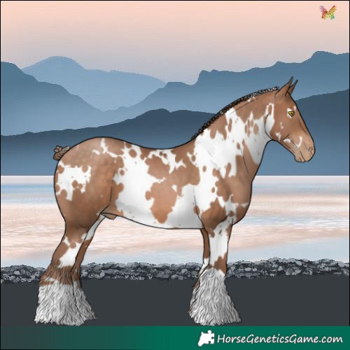 Horse Color:White Spotted Brown Pearl 