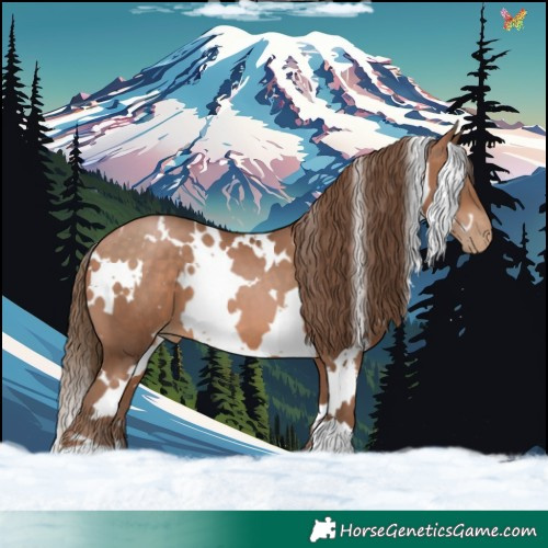 Horse Color:White Spotted Brown Pearl 