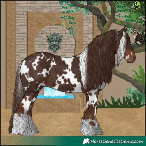 Horse Color:White Spotted Liver Chestnut 