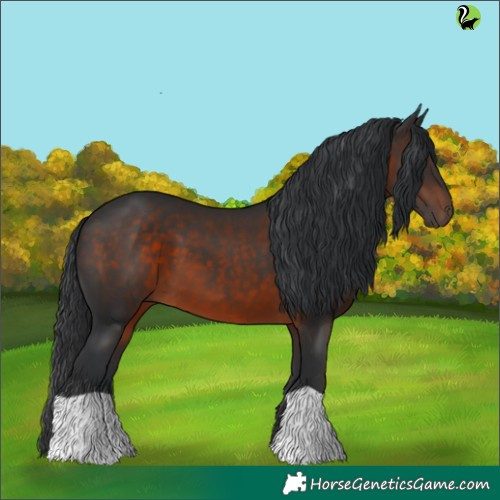 Horse Color:Brown 