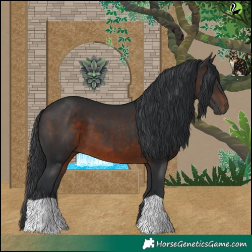 Horse Color:Brown 