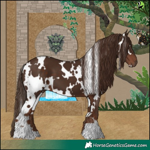 Horse Color:White Spotted Liver Chestnut 
