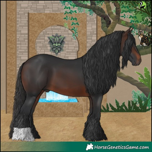 Horse Color:Brown 
