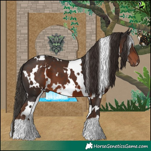Horse Color:White Spotted Liver Chestnut 
