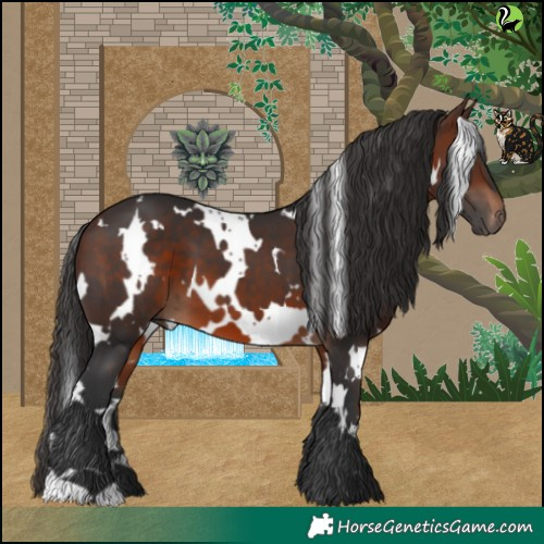 Horse Color:White Spotted Brown 