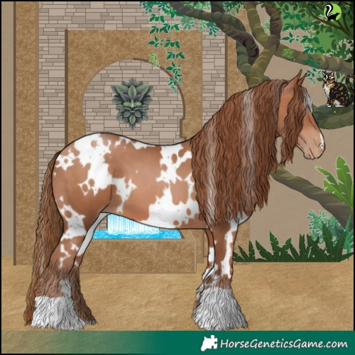 Horse Color:White Spotted Brown Pearl 