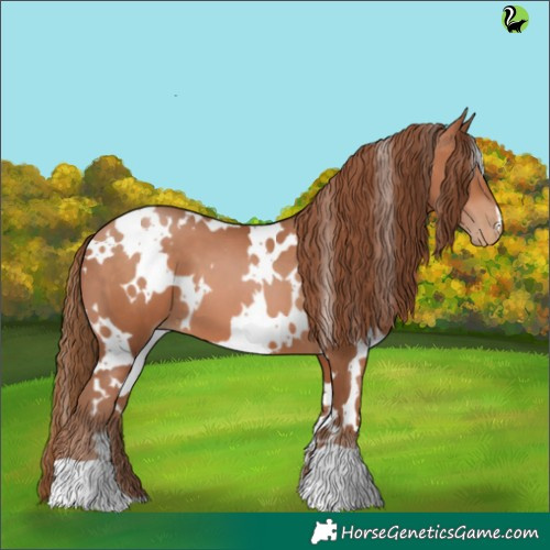 Horse Color:White Spotted Brown Pearl