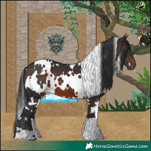 Horse Color:White Spotted Brown 