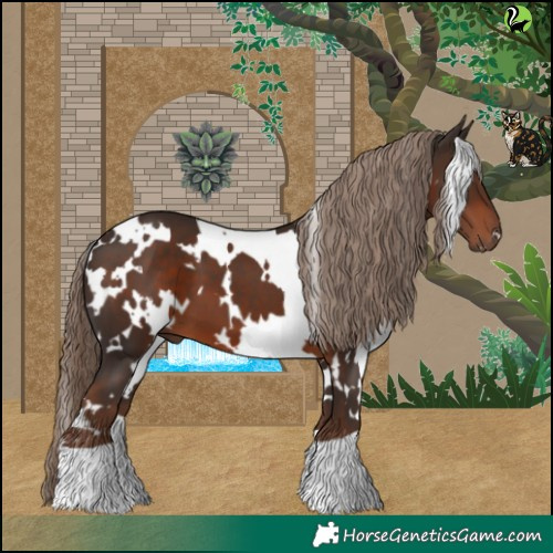 Horse Color:White Spotted Liver Chestnut 
