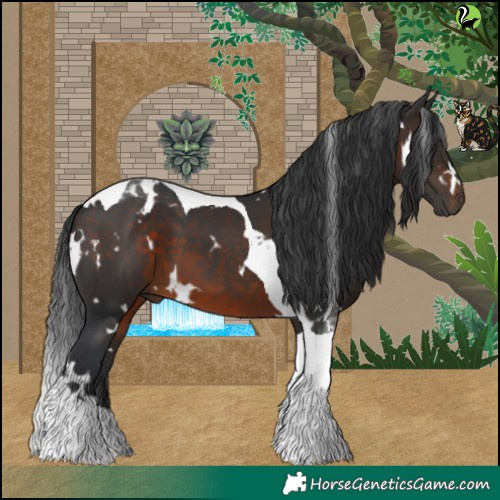 Horse Color:White Spotted Brown Tobiano 