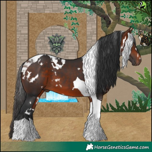 Horse Color:White Spotted Bay Tobiano 