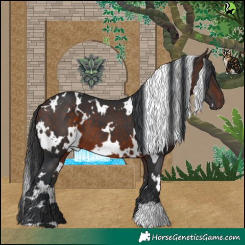Horse Color:White Spotted Bay 