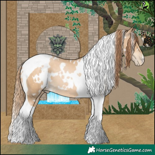Horse Color:White Spotted Buckskin Pearl Tobiano 