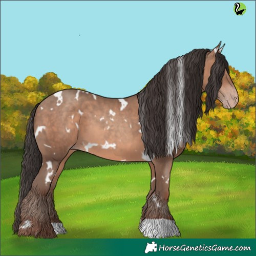 Horse Color:White Spotted Sable Champagne