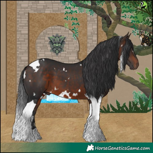 Horse Color:White Spotted Bay Tobiano 