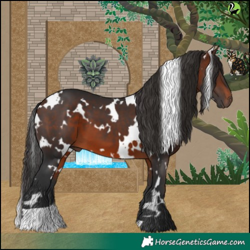 Horse Color:White Spotted Brown 