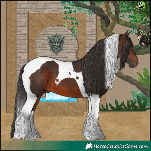 Horse Color:Brown Tobiano 